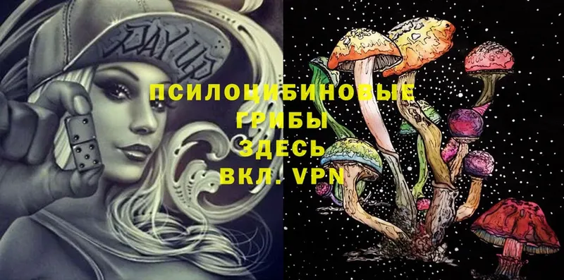 Галлюциногенные грибы MAGIC MUSHROOMS  даркнет сайт  Новомосковск 